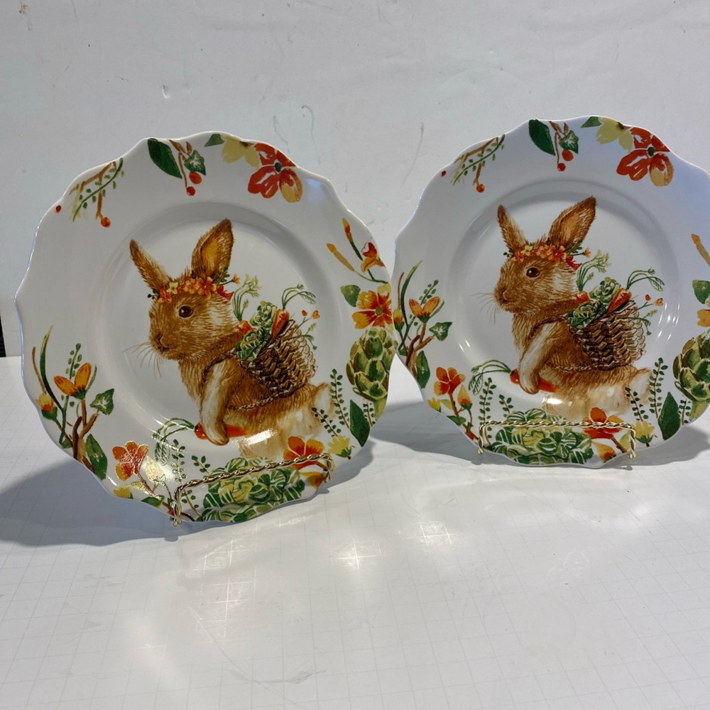Pier 1 Festive Bunny Easter dessert plates set up two